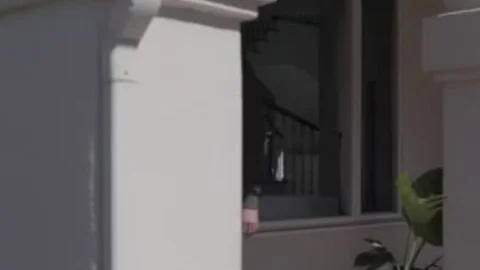 slender Tbabe Korra Del Rio Sucks Bigcock And gets Nailed
