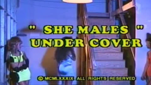 she Males Undecover - Scene 1