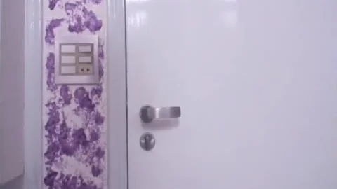 THE LITTLE black BOOK OF ladyboys 3 - Scene two
