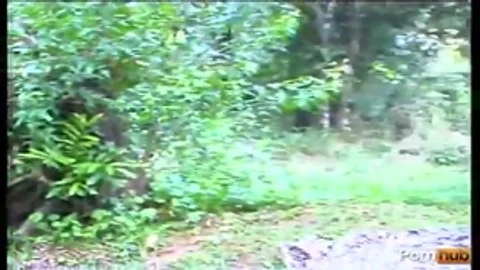 yummy she Males Of Brazil 03 - Scene 1