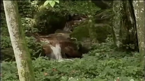Lonely Place Outdoor Fo A sexual enjoyguyst