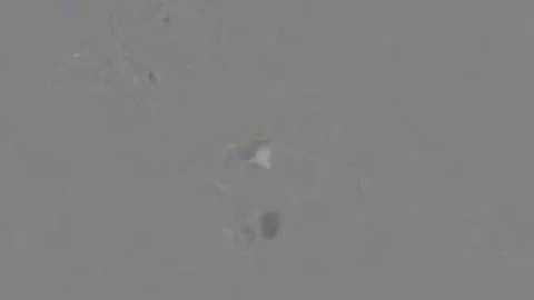 Sex Machine End Nikkijadetaylor sperm