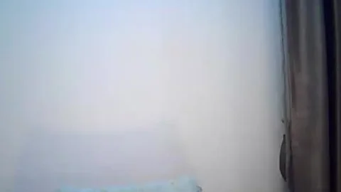 Erotic petite Breast shemale bitch