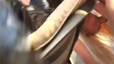 Degraded, fucked, And she likes It